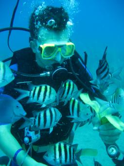 Duiken Dominicaanse Republiek